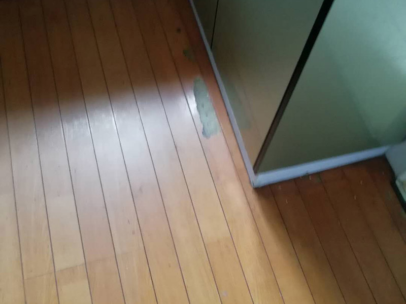 地板局部維修翻新：起下需替換的地板。用一字螺絲刀即將替換的地板短邊處鑿出一個1厘米長的縫隙,再用曲線鋸將需替換的地板表面鋸成十字形的鋸縫;然后將分紅四小片的地板取出。 整理膠水。用鋼鋸條整理原接口殘留的膠水,并確保整理好的榫槽便于裝置,假如整理不完全,接縫會不平或不嚴。能夠用有新榫頭小片地板在接口上來回滑動,找出殘留膠跡并鏟除,使修正后的地板漂亮。