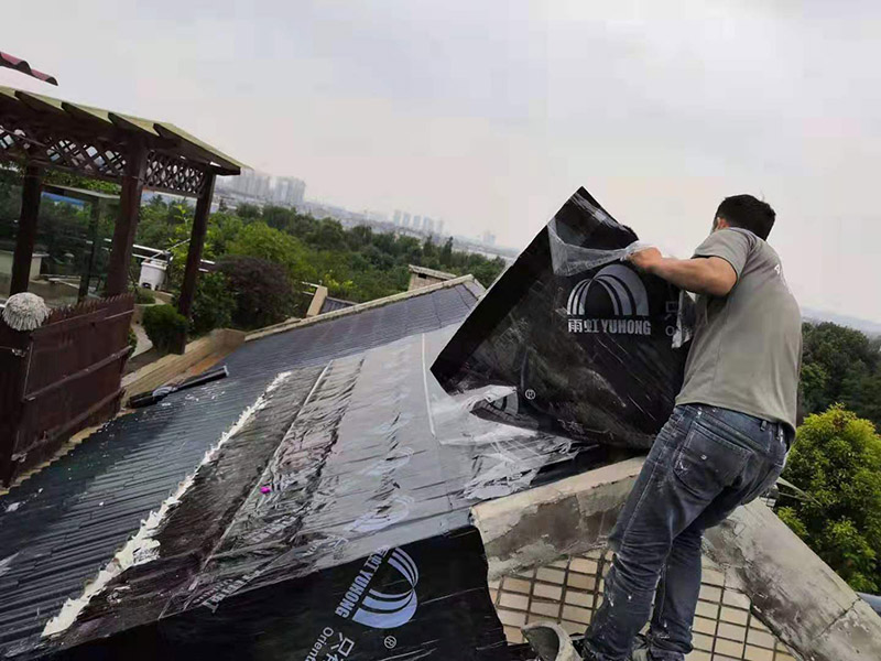 農村平房屋頂漏雨維修，用哪種方法較為